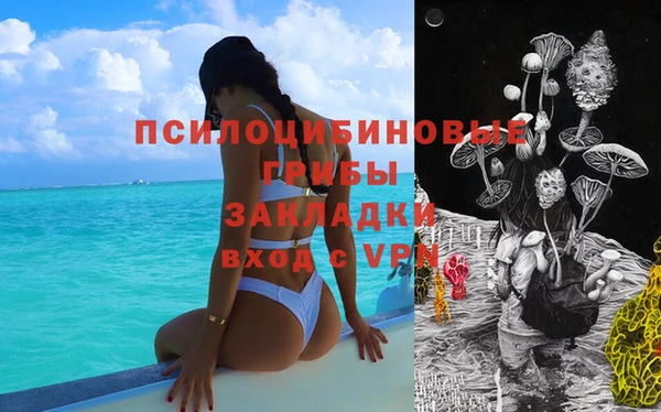 ПСИЛОЦИБИНОВЫЕ ГРИБЫ Нефтегорск