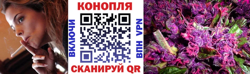Бошки Шишки OG Kush  Купить  Кяхта 